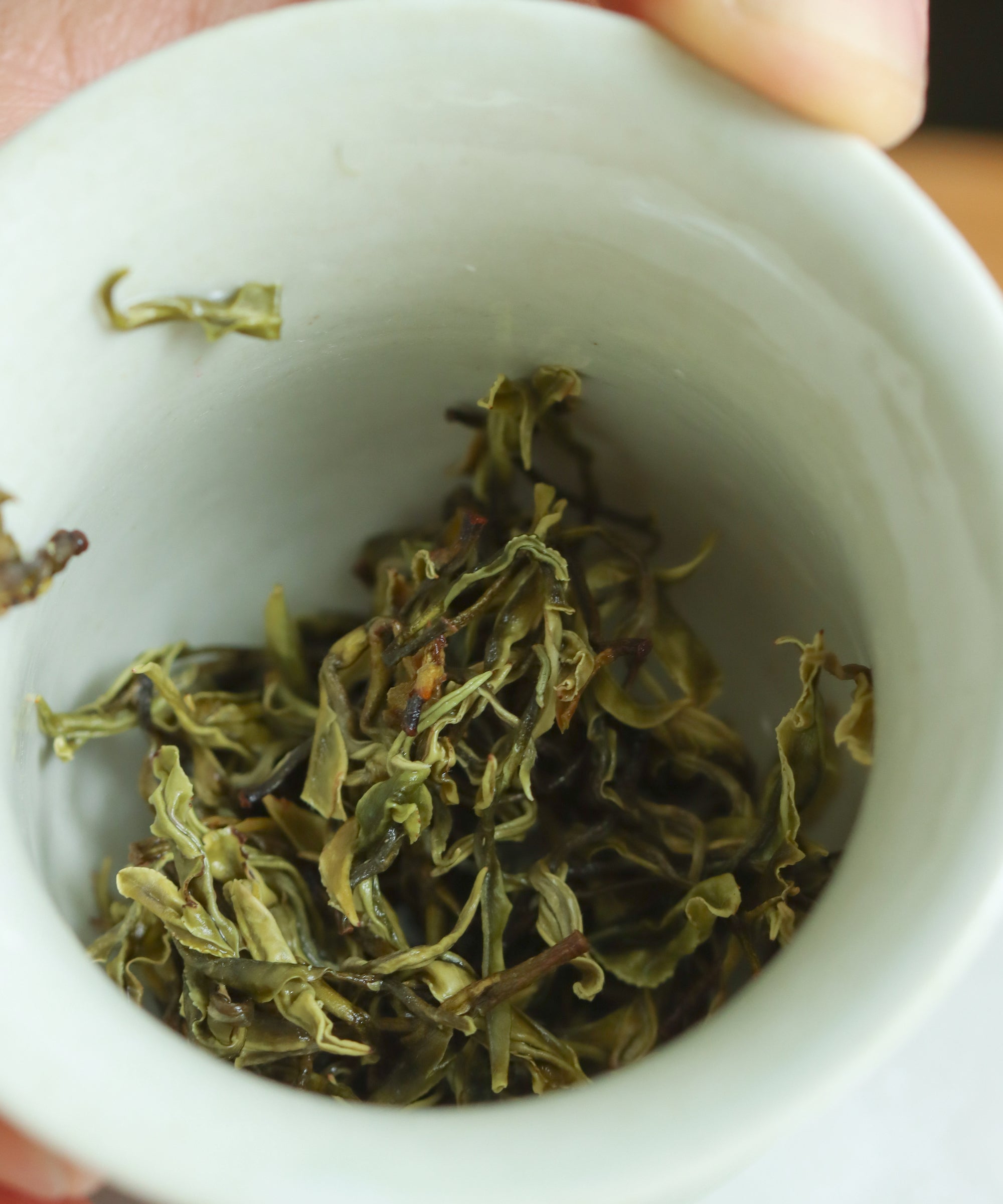 Yellow Purple Shoots wet leaves — experimental yellow tea from wild Purple Shoots, Changxing