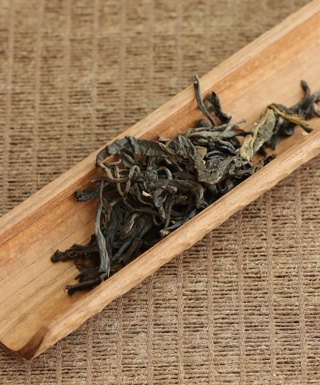 Brewing Zi Ya Purple Bud — Tang Wang's purple bud sheng pu'erh in gaiwan, Jinggu, Yunnan
