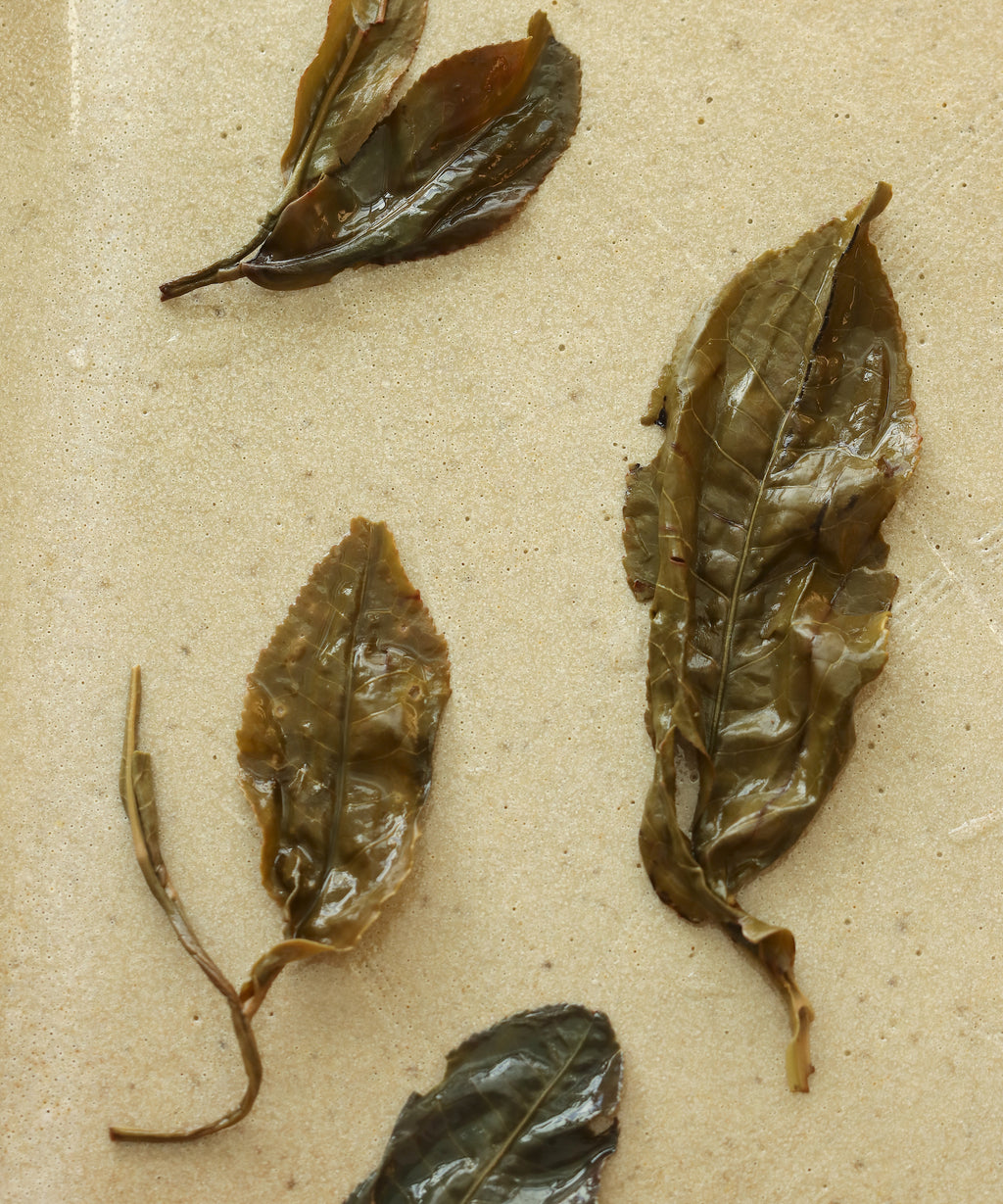 Zi Ya "Purple Bud"
