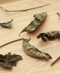 Wild White Single Tree by Mr. Fan — white tea from one centuries-old wild Zhenghe Dabai tree, Fujian