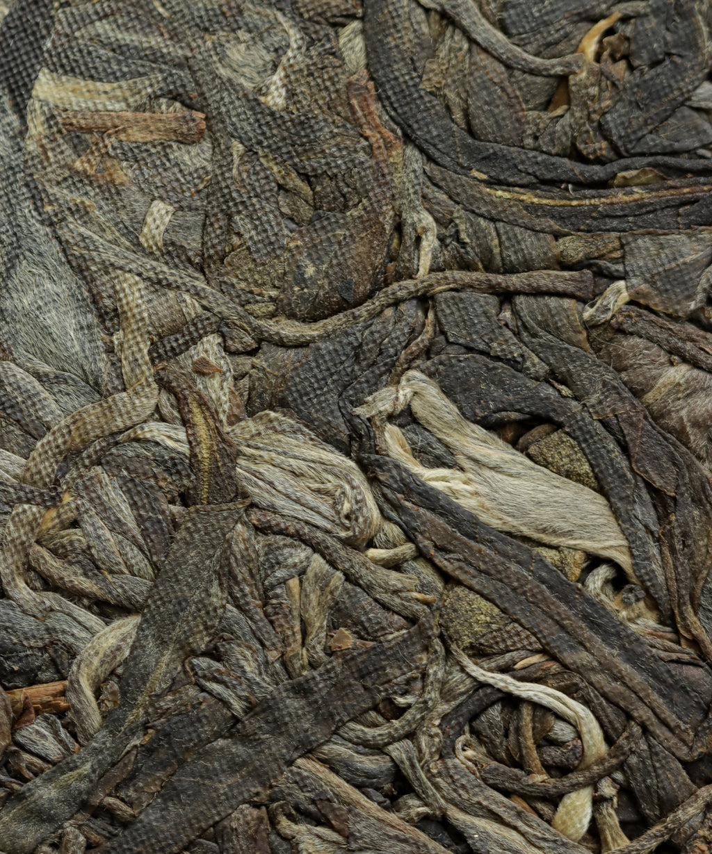 Bulangshan sheng pu'erh by Huang Rong — raw pu'erh from 100-year-old trees, Weidong village, Menghai, Yunnan