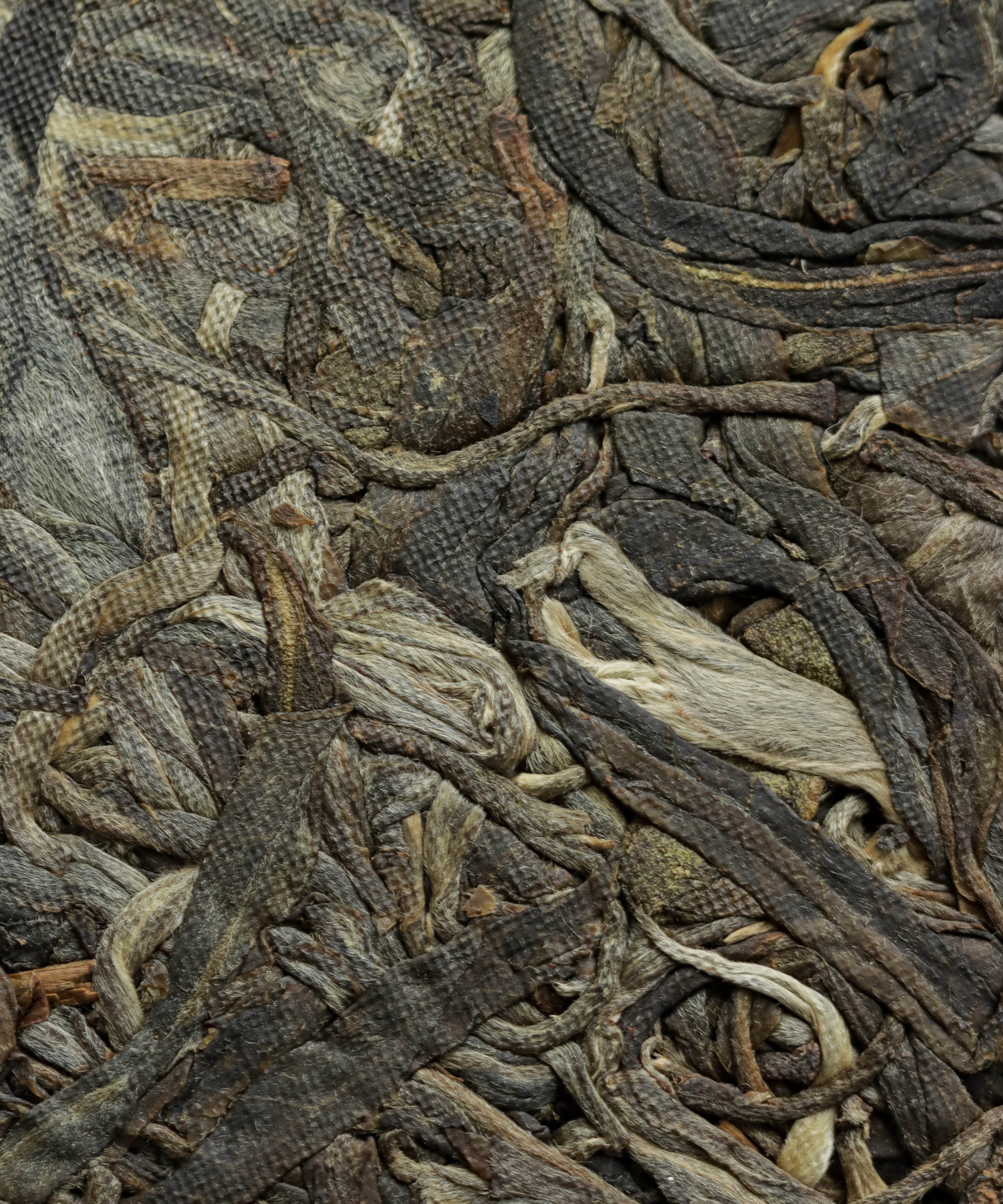Bulangshan sheng pu'erh by Huang Rong — raw pu'erh from 100-year-old trees, Weidong village, Menghai, Yunnan