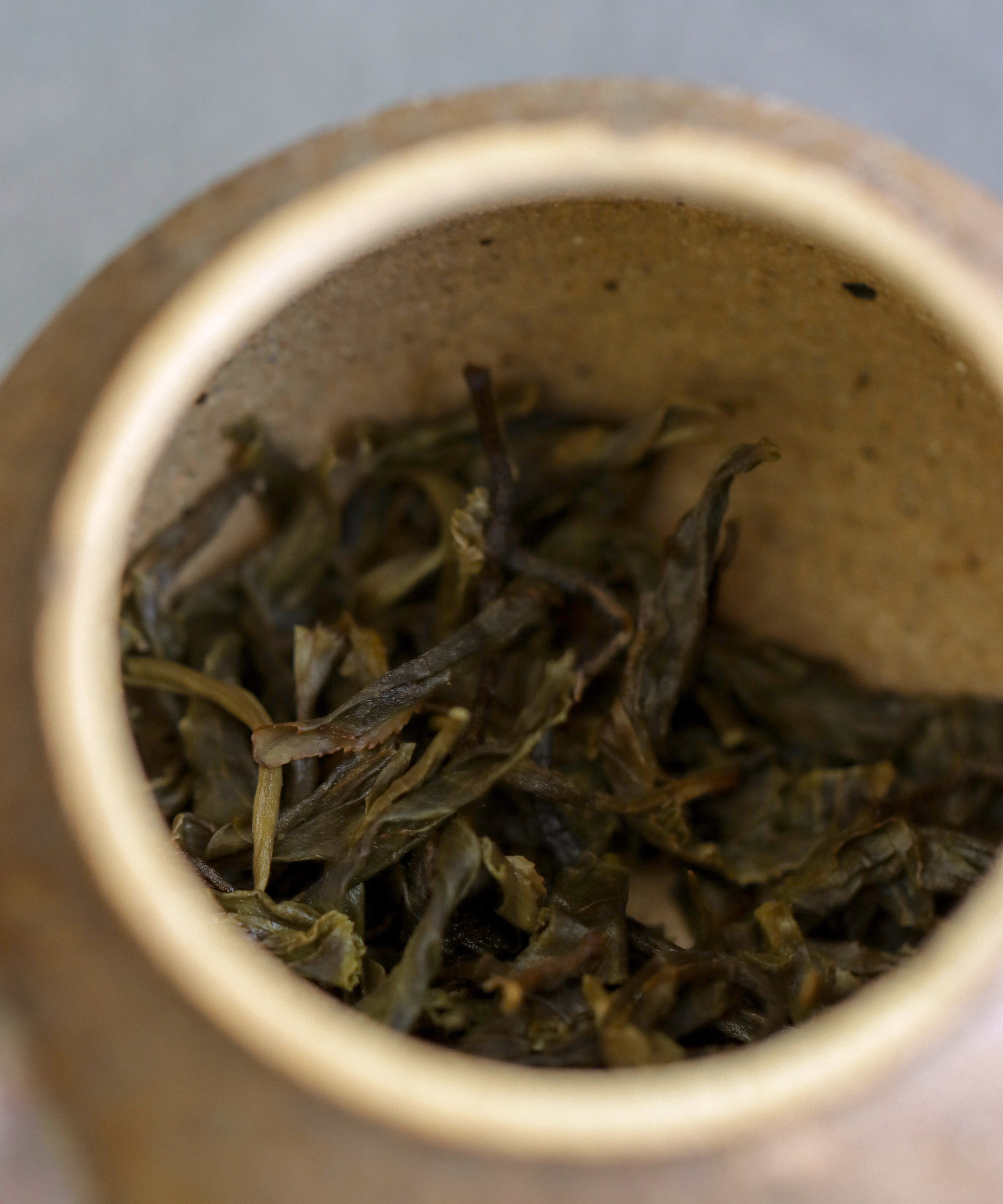 Bulangshan Sheng wet leaves after brewing — biodynamic raw pu'erh, Weidong village, Menghai, Yunnan