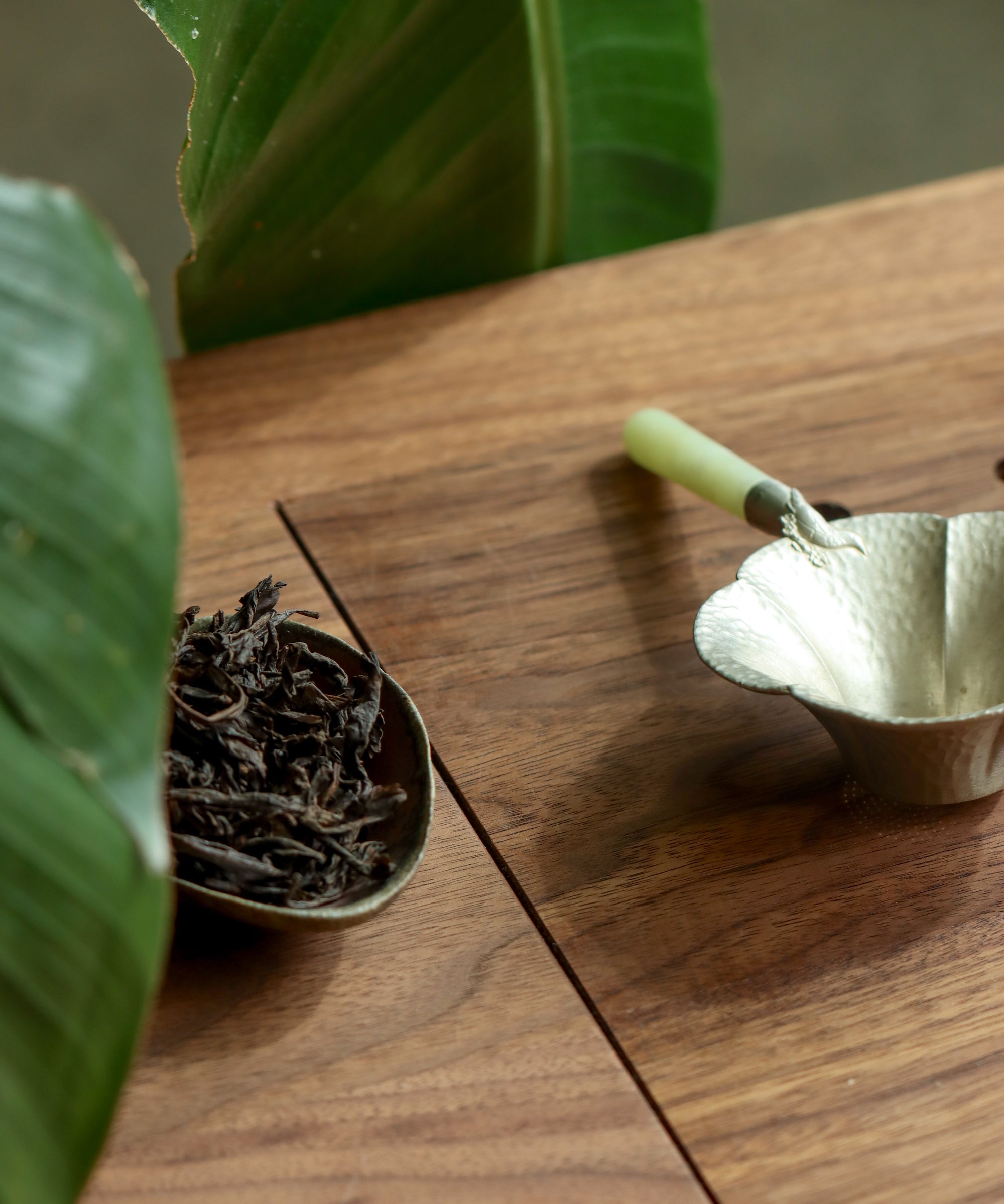 Rougui Shuiliandong dry leaves — true cliff yancha from Shuiliandong, Wuyi Mountain, Fujian
