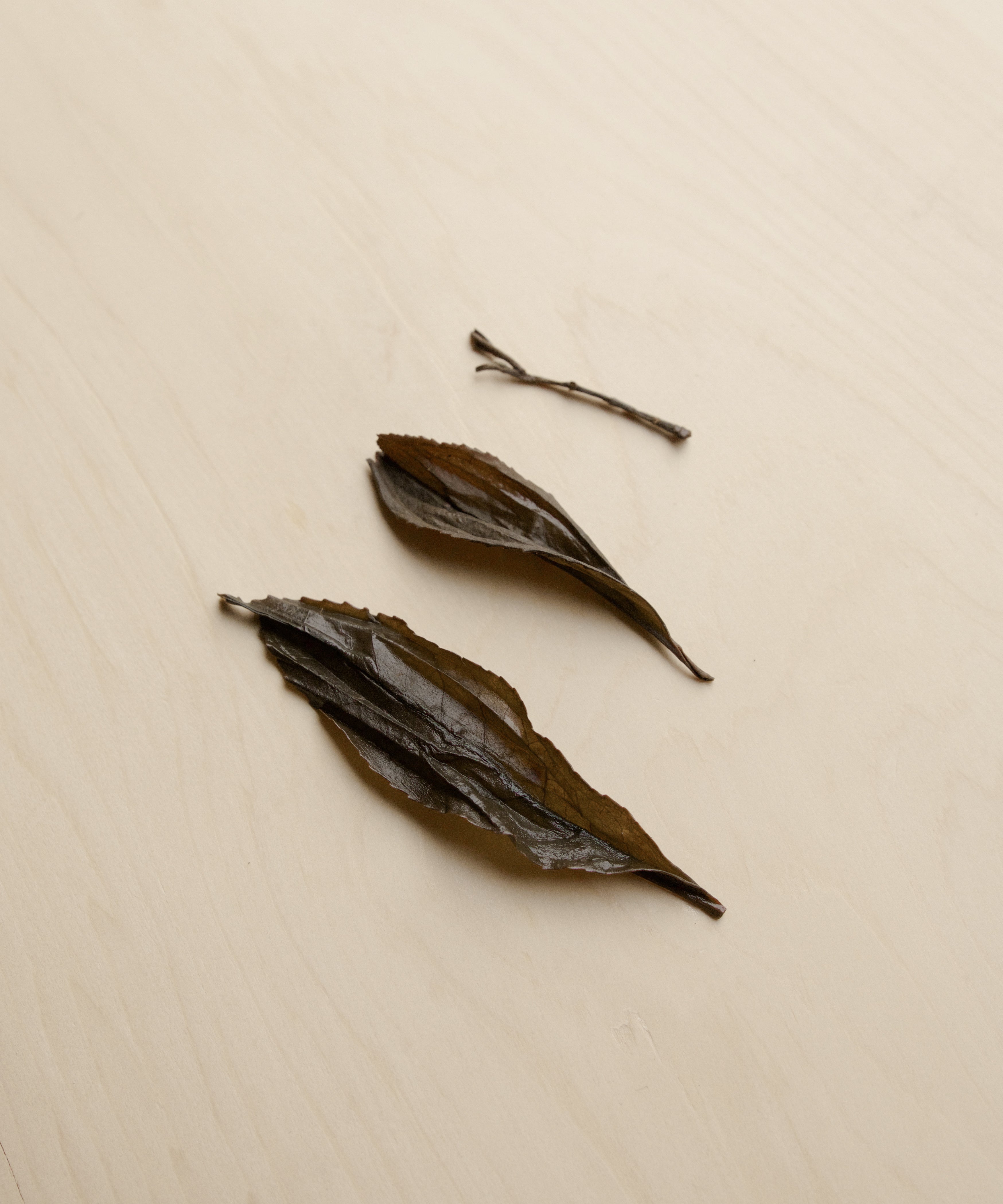 Wild Honeybush Black by Mr. Fan — charcoal roasted wild black tea from 100-year-old trees, Zhenghe
