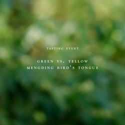 Tasting Event: Green vs. Yellow | Mengding Bird's Tongue