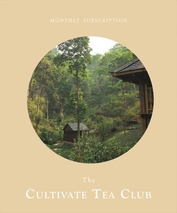 Cultivate Tea Club